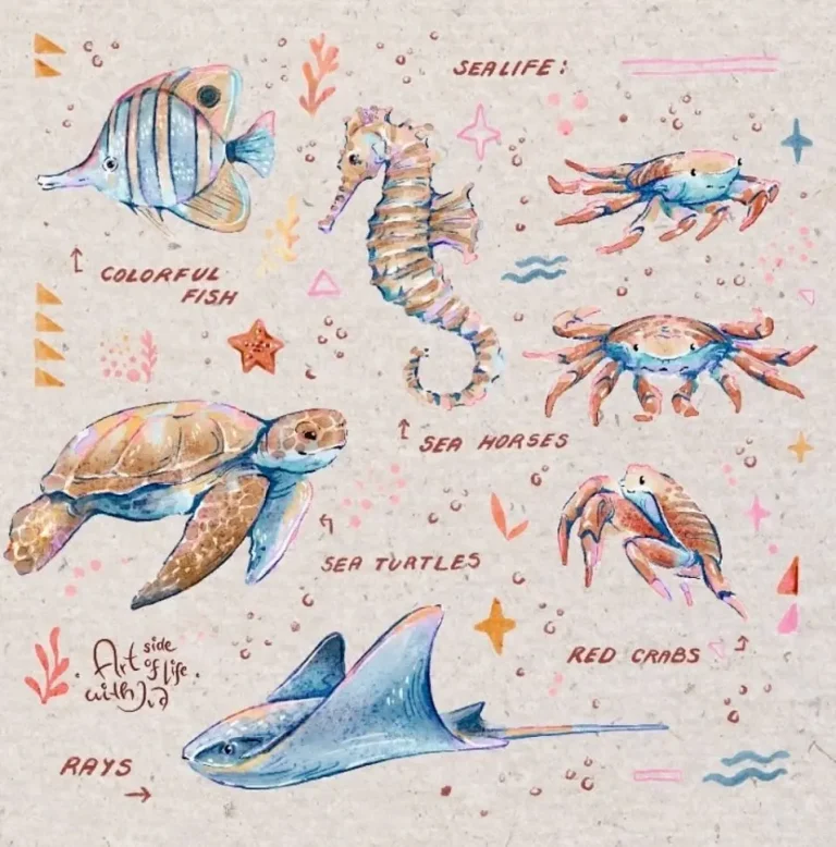 ocean_animals-watercolor_brushes-iva_mikles-artsideoflife